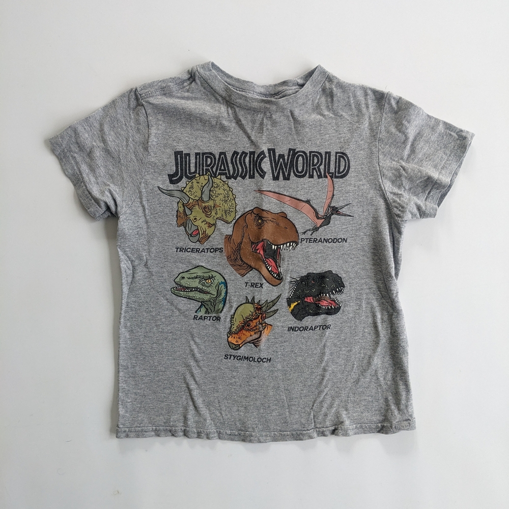 Gray Short Sleeve Tee with Dinosaur Graphics